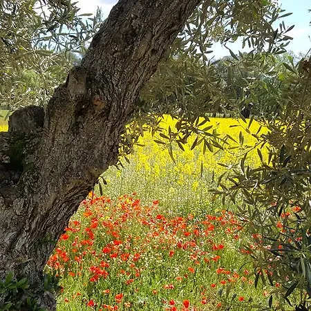 Βίλα Mas De Les Serres Peratallada
